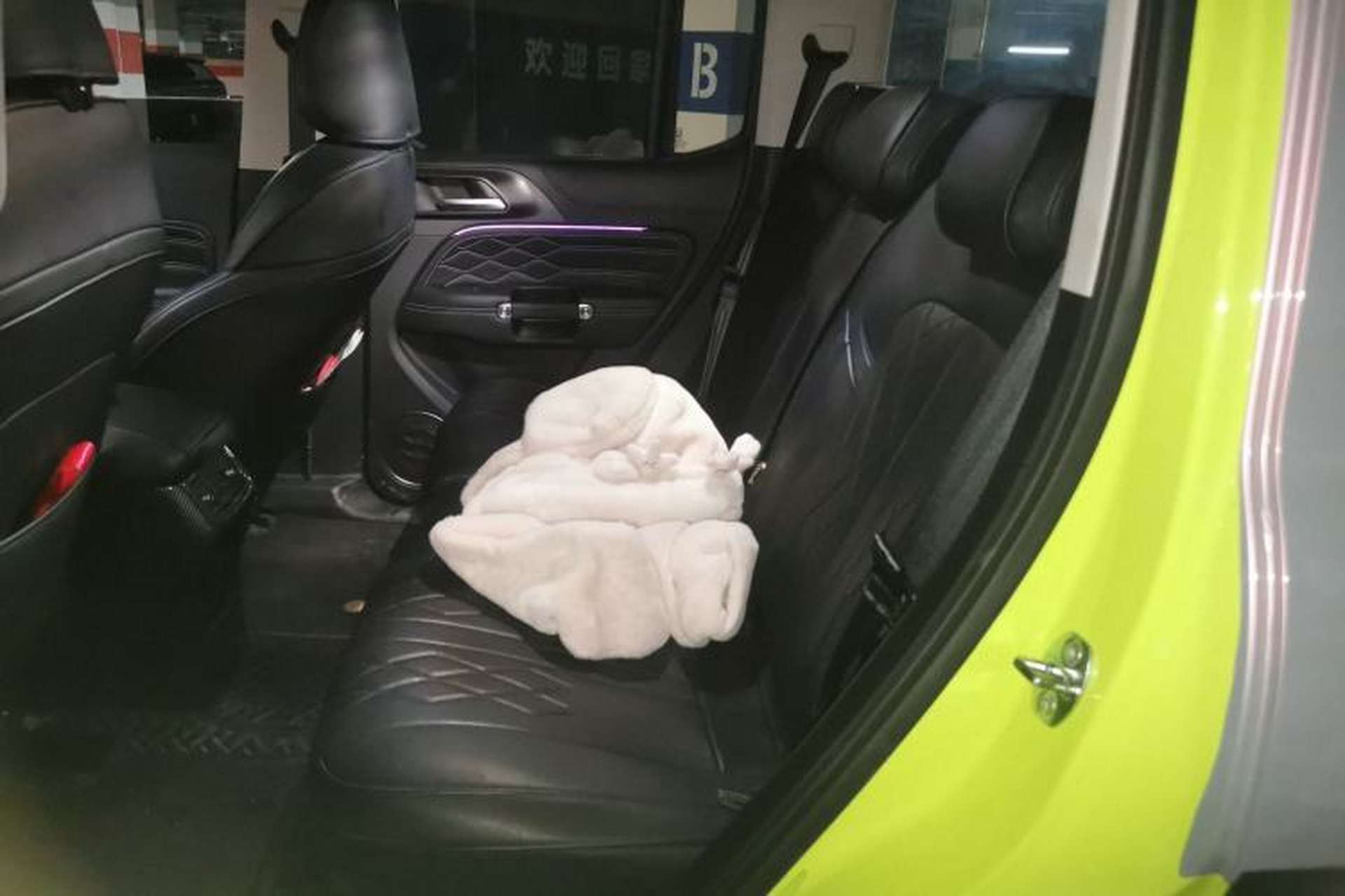 Used Tank 300 2022 2.0T Tank Ranger Left Rear Seat