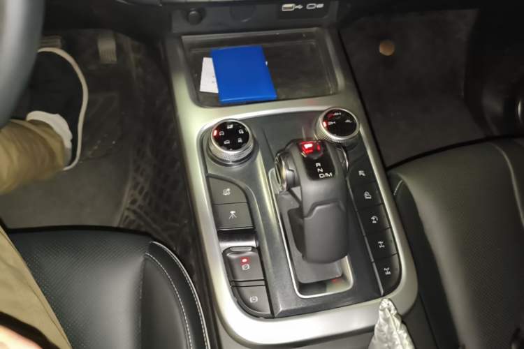 Used Tank 300 2022 2.0T Border Limited Edition Gear Lever