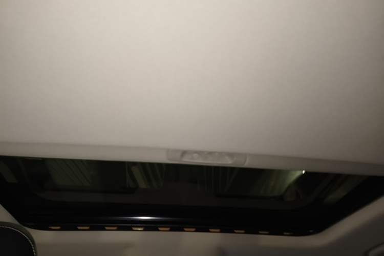 Used Tank 300 2022 2.0T Border Limited Edition Headliner