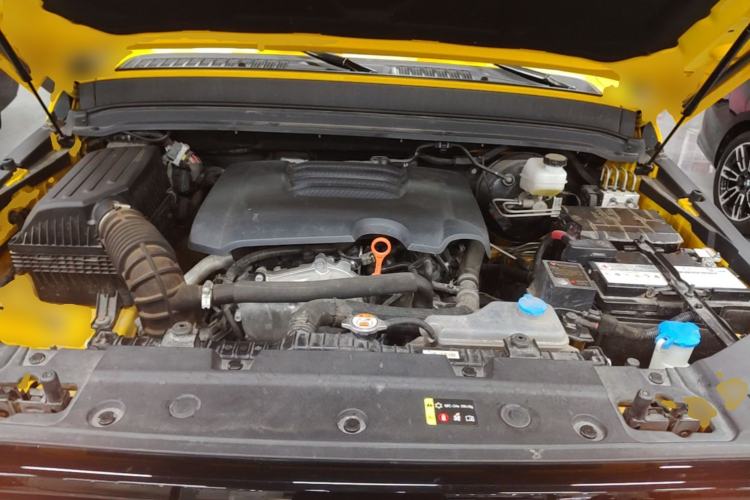Used Tank 300 2022 2.0T Border Limited Edition Engine Bay