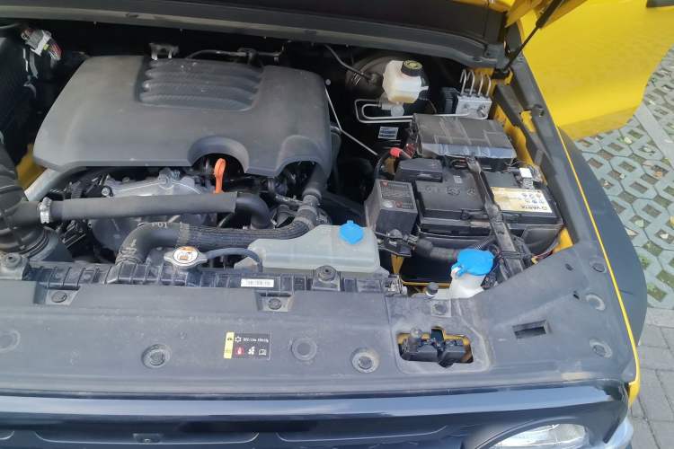 Used Tank 300 2022 2.0T Border Limited Edition Engine Bay Left