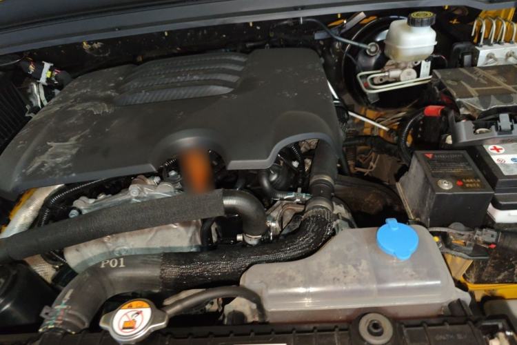 Used Tank 300 2022 2.0T Border Limited Edition Engine Bay Left