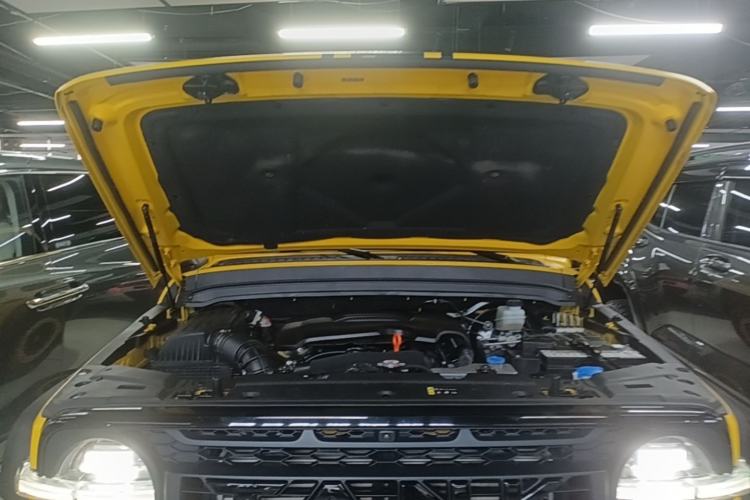 Used Tank 300 2022 2.0T Border Limited Edition Engine Bay