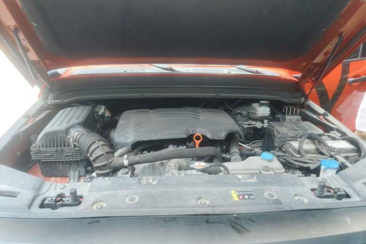 Used Tank 300 2022 2.0T Tank Ranger Engine Bay