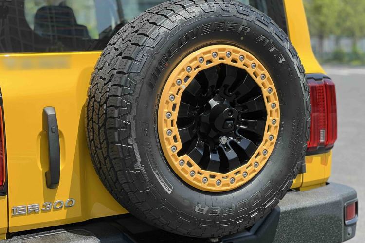 Used Tank 300 2022 2.0T Border Limited Edition Exterior 8