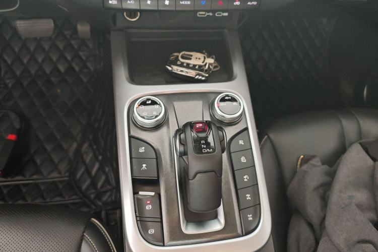 Used Tank 300 2022 2.0T Border Limited Edition Gear Lever