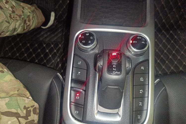 Used Tank 300 2022 2.0T Border Limited Edition Gear Lever
