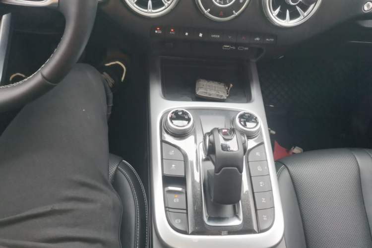 Used Tank 300 2022 2.0T Border Limited Edition Gear Lever