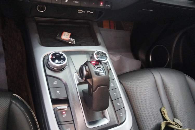Used Tank 300 2022 2.0T Border Limited Edition Gear Lever