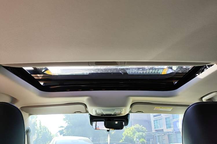 Used Tank 300 2022 2.0T Border Limited Edition Headliner
