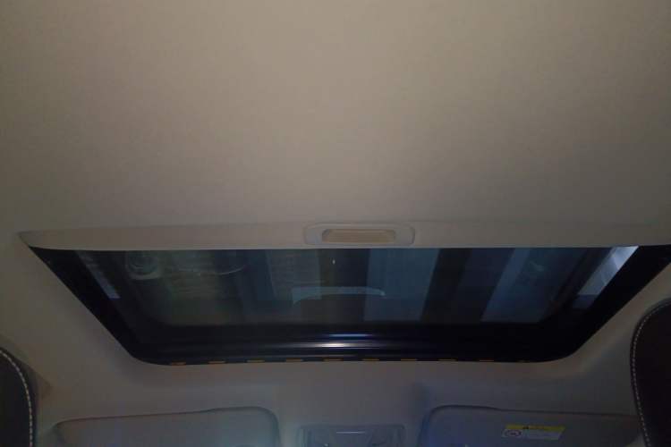 Used Tank 300 2022 2.0T Border Limited Edition Headliner