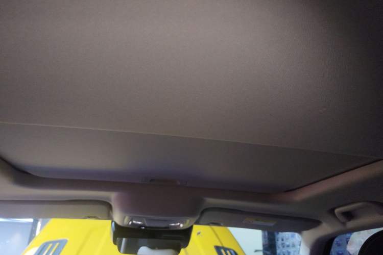 Used Tank 300 2022 2.0T Border Limited Edition Headliner