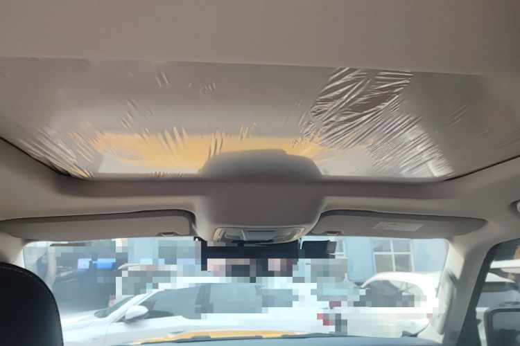 Used Tank 300 2022 2.0T Border Limited Edition Headliner