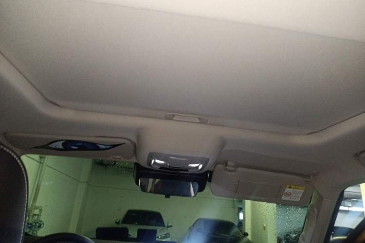 Used Tank 300 2022 2.0T Border Limited Edition Headliner