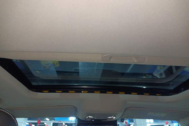 Used Tank 300 2022 2.0T Border Limited Edition Headliner