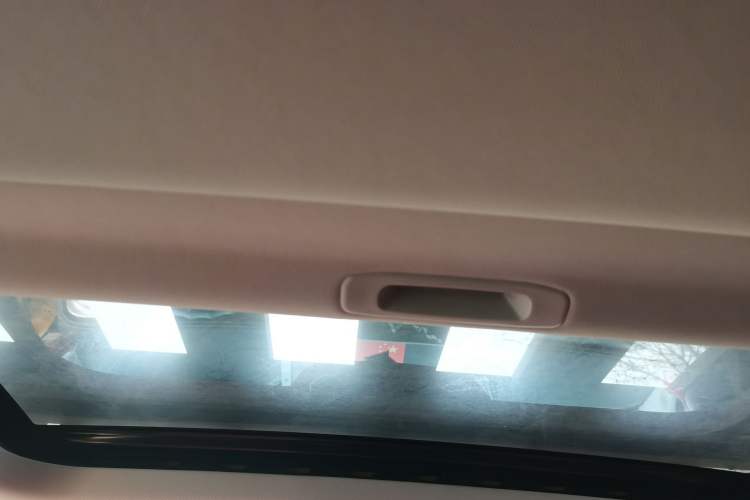 Used Tank 300 2022 2.0T Border Limited Edition Headliner