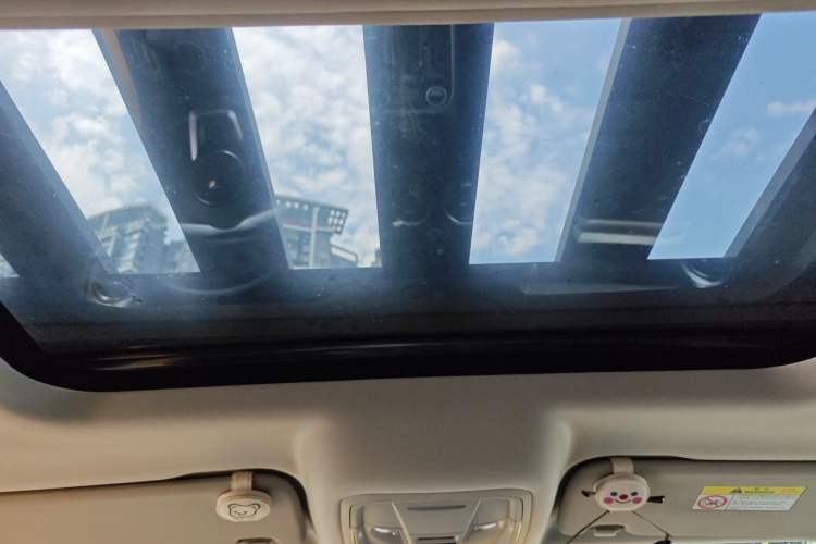 Used Tank 300 2022 2.0T Border Limited Edition Headliner