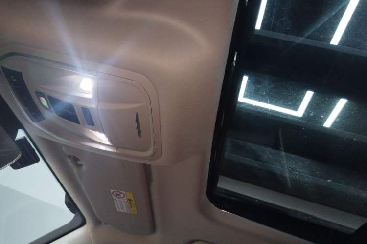 Used Tank 300 2022 2.0T Border Limited Edition Headliner