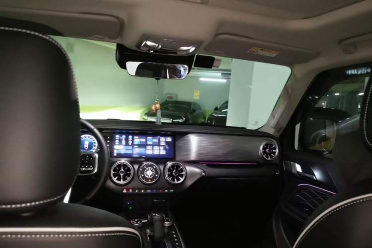 Used Tank 300 2022 2.0T Border Limited Edition Headliner