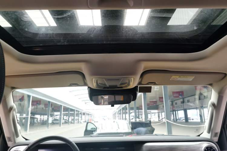 Used Tank 300 2022 2.0T Border Limited Edition Headliner