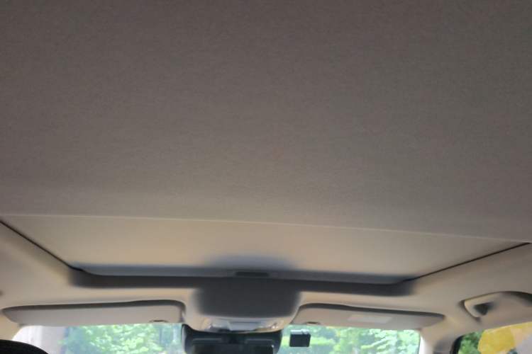 Used Tank 300 2022 2.0T Border Limited Edition Headliner