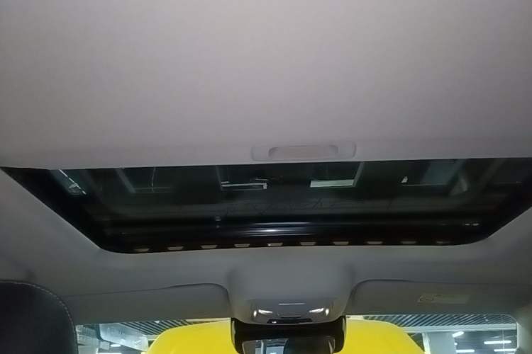 Used Tank 300 2022 2.0T Border Limited Edition Headliner