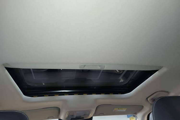 Used Tank 300 2022 2.0T Border Limited Edition Headliner