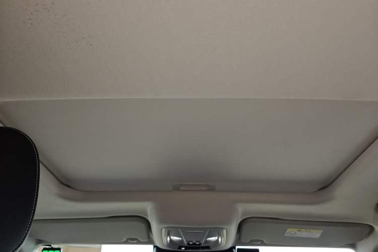 Used Tank 300 2022 2.0T Border Limited Edition Headliner