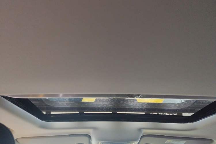 Used Tank 300 2022 2.0T Border Limited Edition Headliner