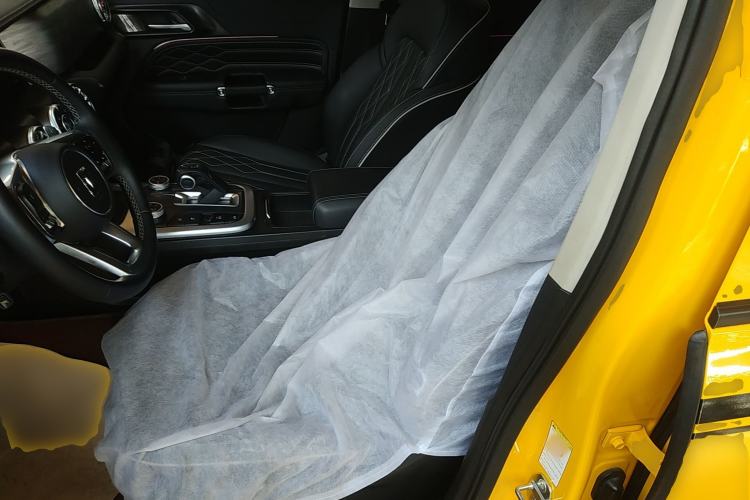 Used Tank 300 2022 2.0T Border Limited Edition Left Front Seat