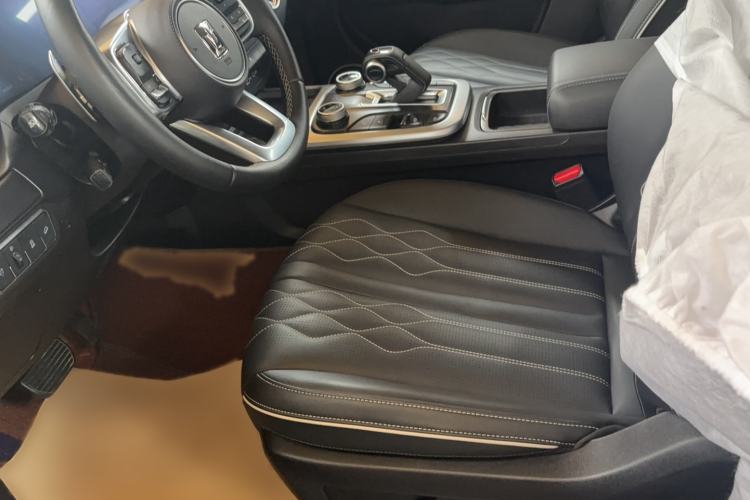 Used Tank 300 2022 2.0T Border Limited Edition Left Front Seat