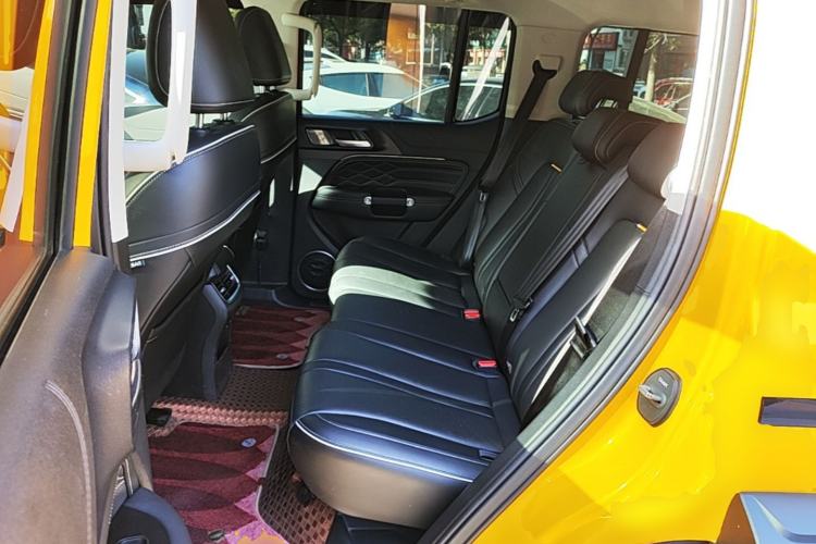 Used Tank 300 2022 2.0T Border Limited Edition Left Rear Seat