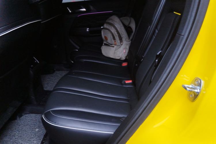 Used Tank 300 2022 2.0T Border Limited Edition Left Rear Seat