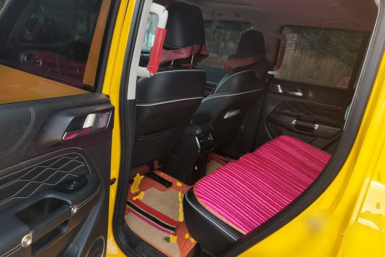 Used Tank 300 2022 2.0T Border Limited Edition Left Rear Seat