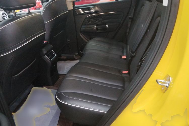 Used Tank 300 2022 2.0T Border Limited Edition Left Rear Seat