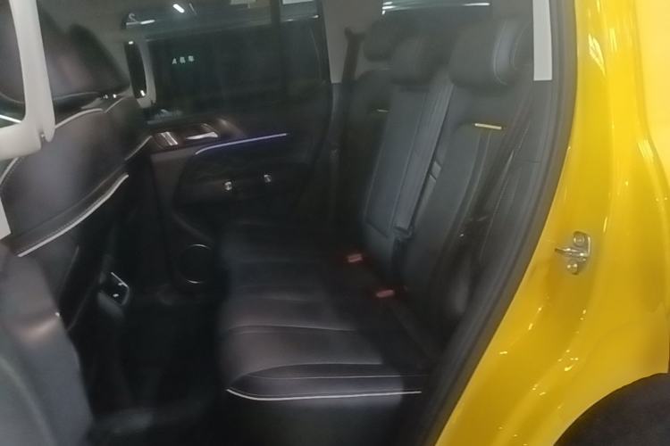 Used Tank 300 2022 2.0T Border Limited Edition Left Rear Seat
