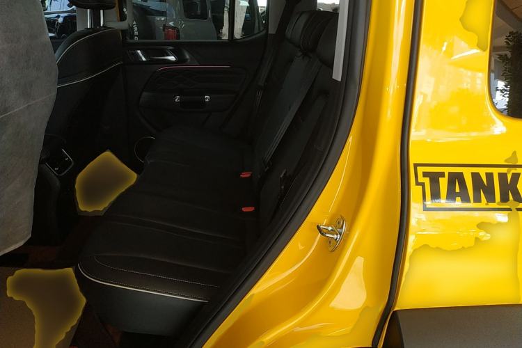 Used Tank 300 2022 2.0T Border Limited Edition Left Rear Seat