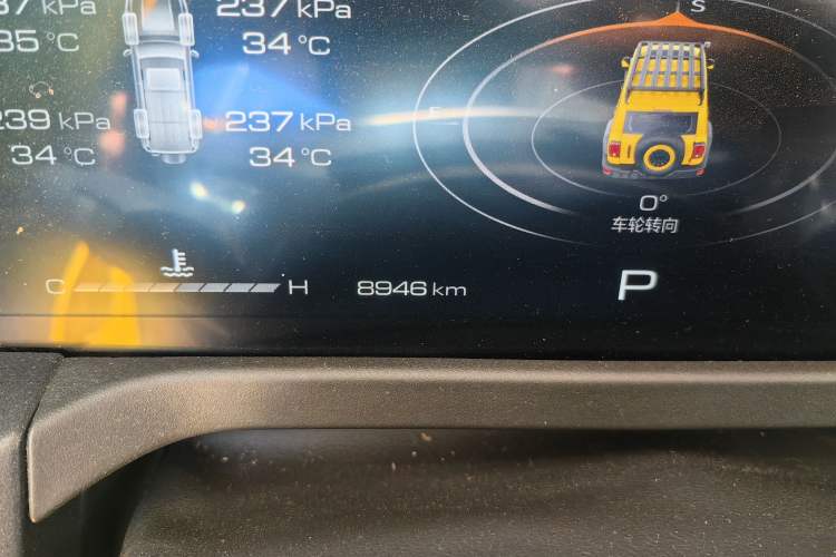 Used Tank 300 2022 2.0T Border Limited Edition Odometer Close Up