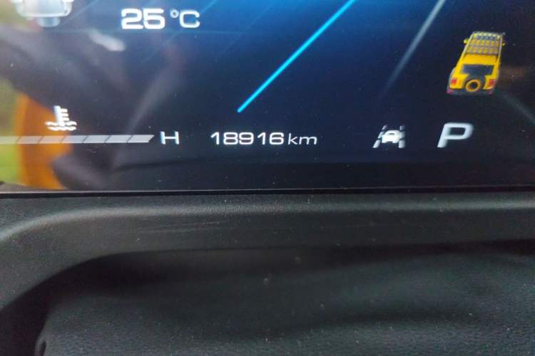 Used Tank 300 2022 2.0T Border Limited Edition Odometer Close Up