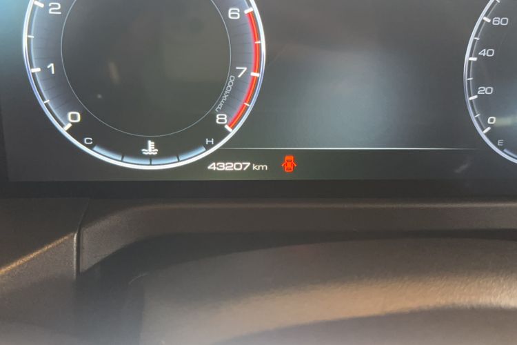 Used Tank 300 2022 2.0T Border Limited Edition Odometer Close Up