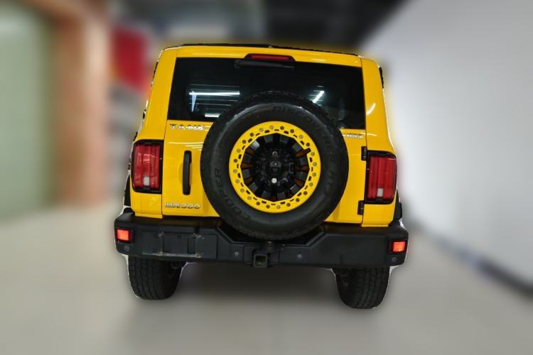 Used Tank 300 2022 2.0T Border Limited Edition Rear