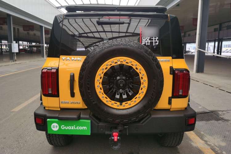 Used Tank 300 2022 2.0T Border Limited Edition Rear