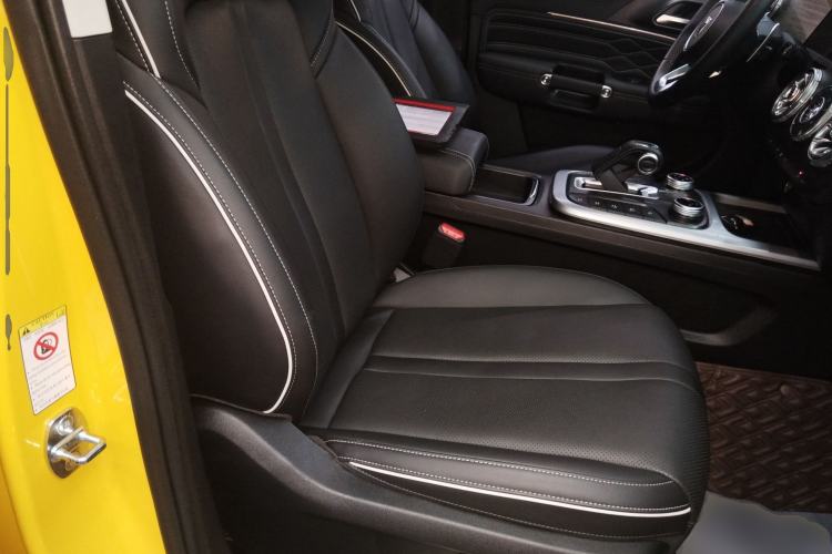 Used Tank 300 2022 2.0T Border Limited Edition Right Front Seat