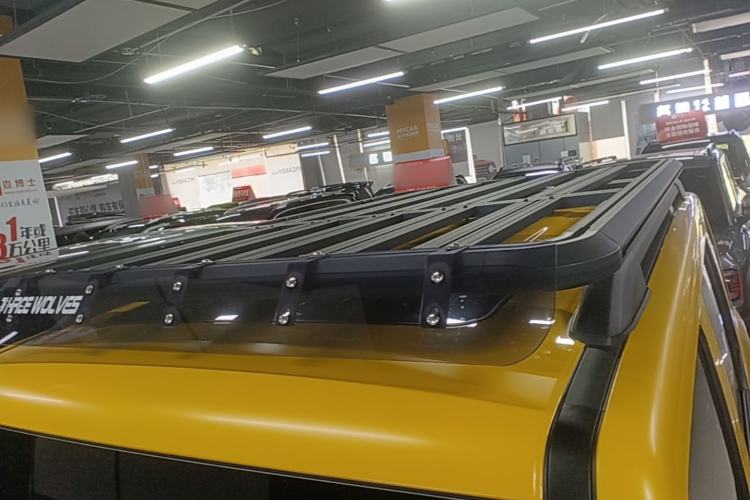 Used Tank 300 2022 2.0T Border Limited Edition Roof