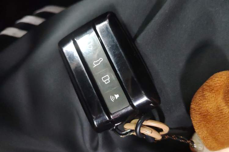 Used Tank 300 2022 2.0T Border Limited Edition Vehicle Key