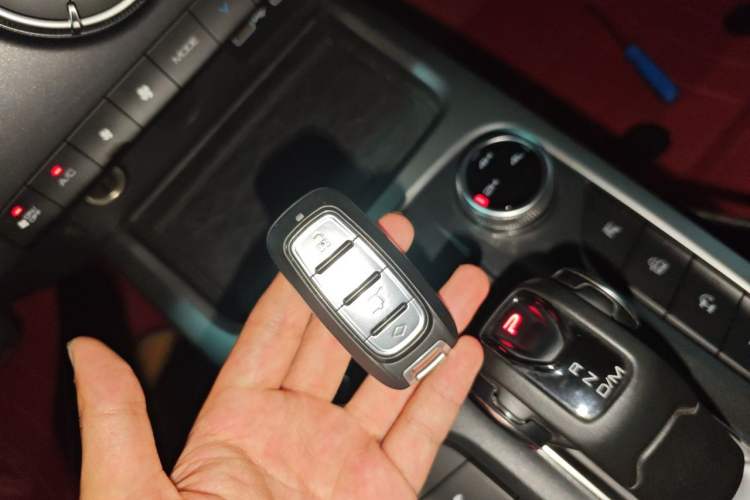 Used Tank 300 2022 2.0T Border Limited Edition Vehicle Key