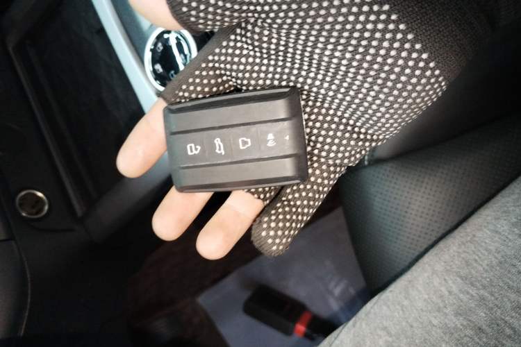 Used Tank 300 2022 2.0T Border Limited Edition Vehicle Key