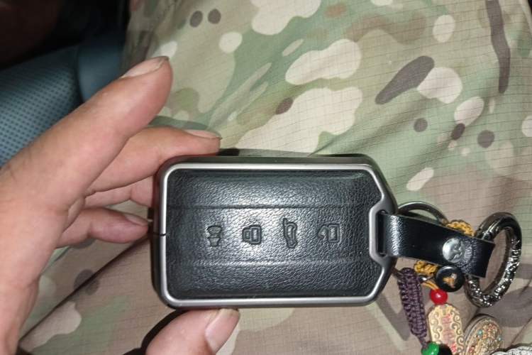 Used Tank 300 2022 2.0T Border Limited Edition Vehicle Key