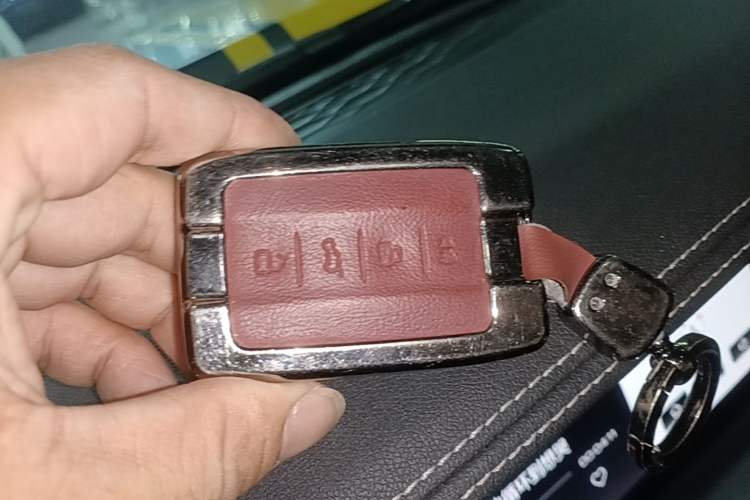 Used Tank 300 2022 2.0T Border Limited Edition Vehicle Key