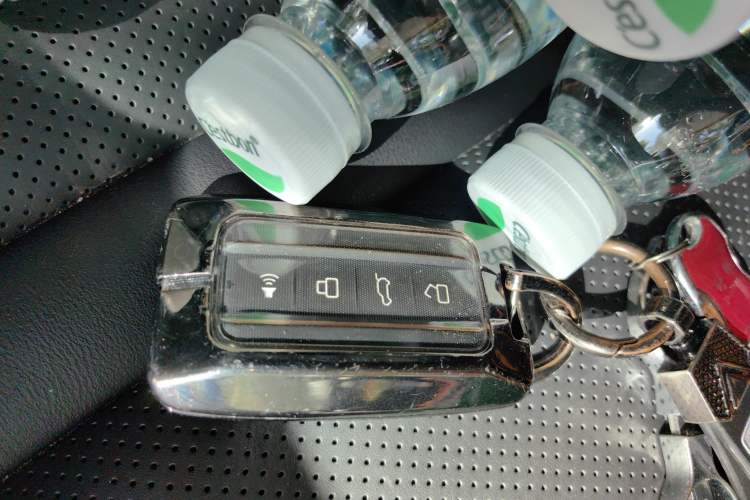 Used Tank 300 2022 2.0T Border Limited Edition Vehicle Key